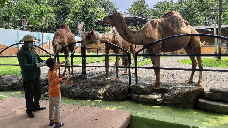 Kunjungi Spot Wisata Populer di Surabaya Ini untuk Mengisi Libur Sekolah Anak