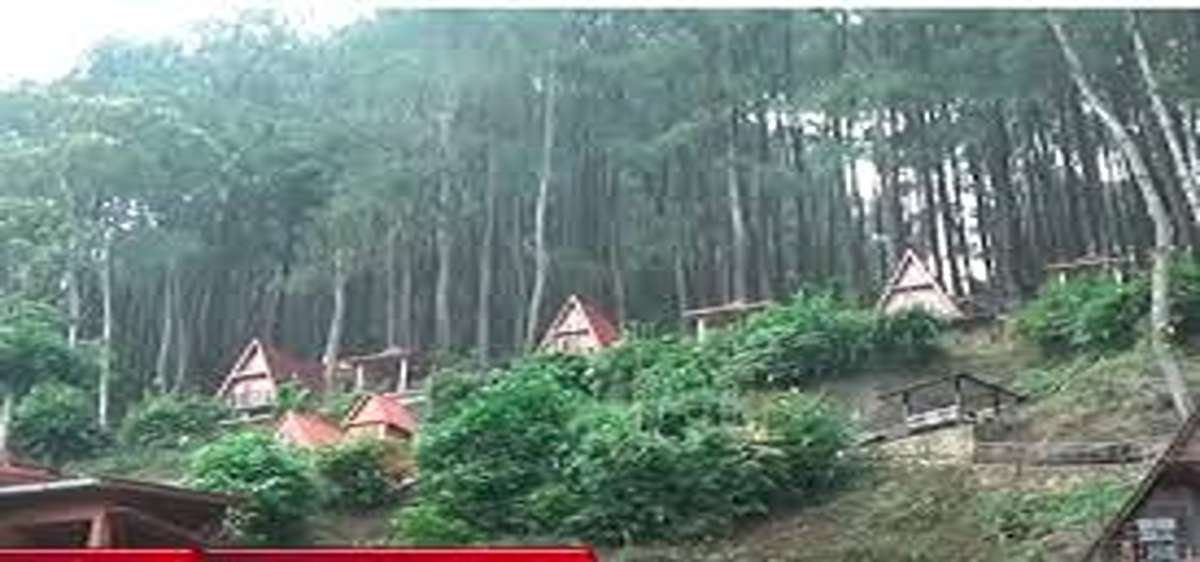 Lezat dan Nyaman! Explor Ragam Tempat Makan Khas Banjarnegara, Paling Hits 2025 Dengan Panorama Indah