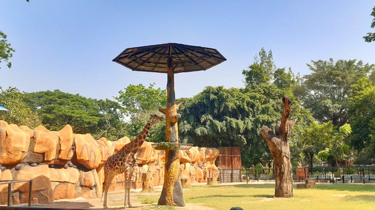 Wisata Surabaya Cuma Rp700-an, Liburan Hemat di Surabaya 