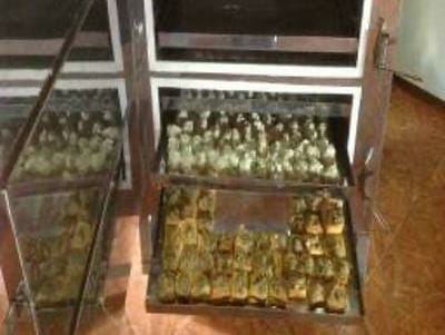 Inovasi Dosen UMY Ciptakan Alat Pengukus Bertingkat, Efisiensi Produksi Somai Naik 500 Persen