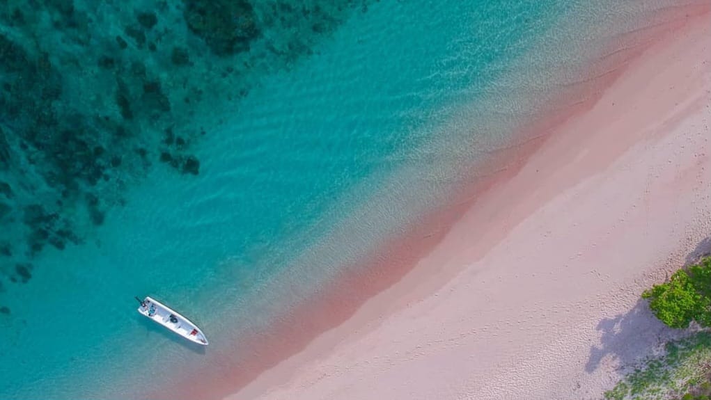 Keren Banget! Wisata Terbaru 2024 Pantai Dengan Pasir  Berwarna Pink Ini Sangat Cantik