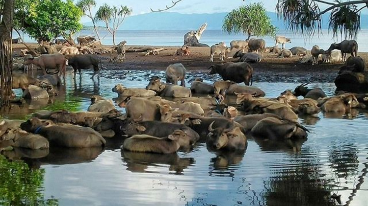Menikmati Keseruan Liburan Keluarga ini Rekomendasi Wisata Dompu Terbaru