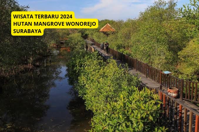 Yuk Jalan Jalan Ke Hutan Mangrove Wonorejo, Wisata Terbaru 2024 Surabaya, Eksotik Membuat Tenang, Cek Disini