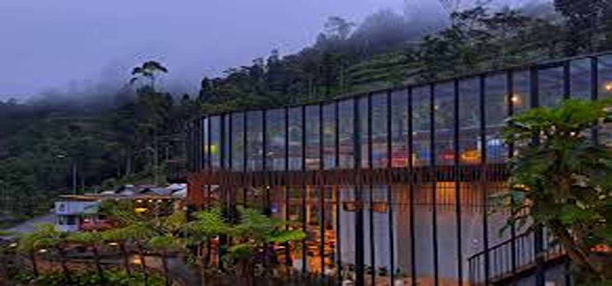 Viral 2025! 8 Tempat Makan Malam Purbalingga, Cita Rasa Khas Tradisional Terenak Dengan Harga Terjangkau