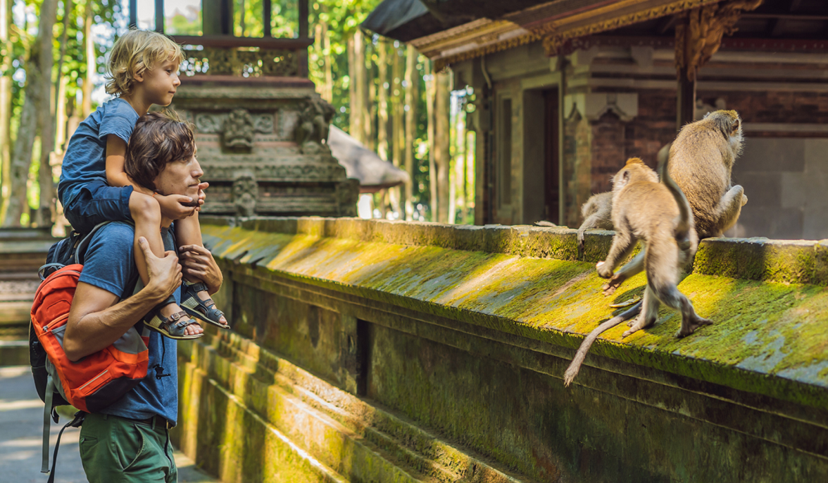 Hidden Gem di Rimbunan Pepohonan, Simak 5 Rekomendasi Hutan Wisata Bali Paling Populer 2025