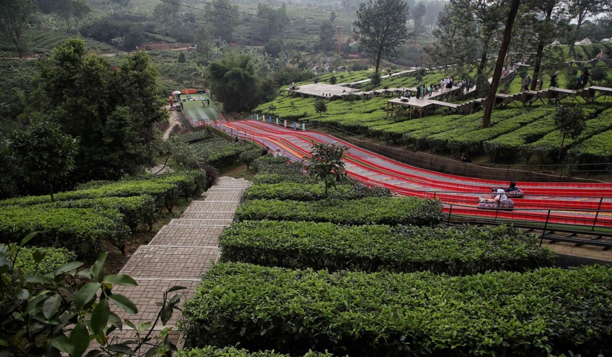6 Rekomendasi Wisata Puncak Bogor untuk Keluarga dengan Kegiatan Menarik Paling Seru, Simak Disini