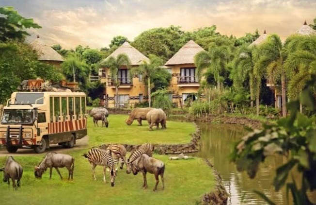 Jelajahi Keajaiban Wisata Terbaru 2024 The Amazing Taman Safari Bali