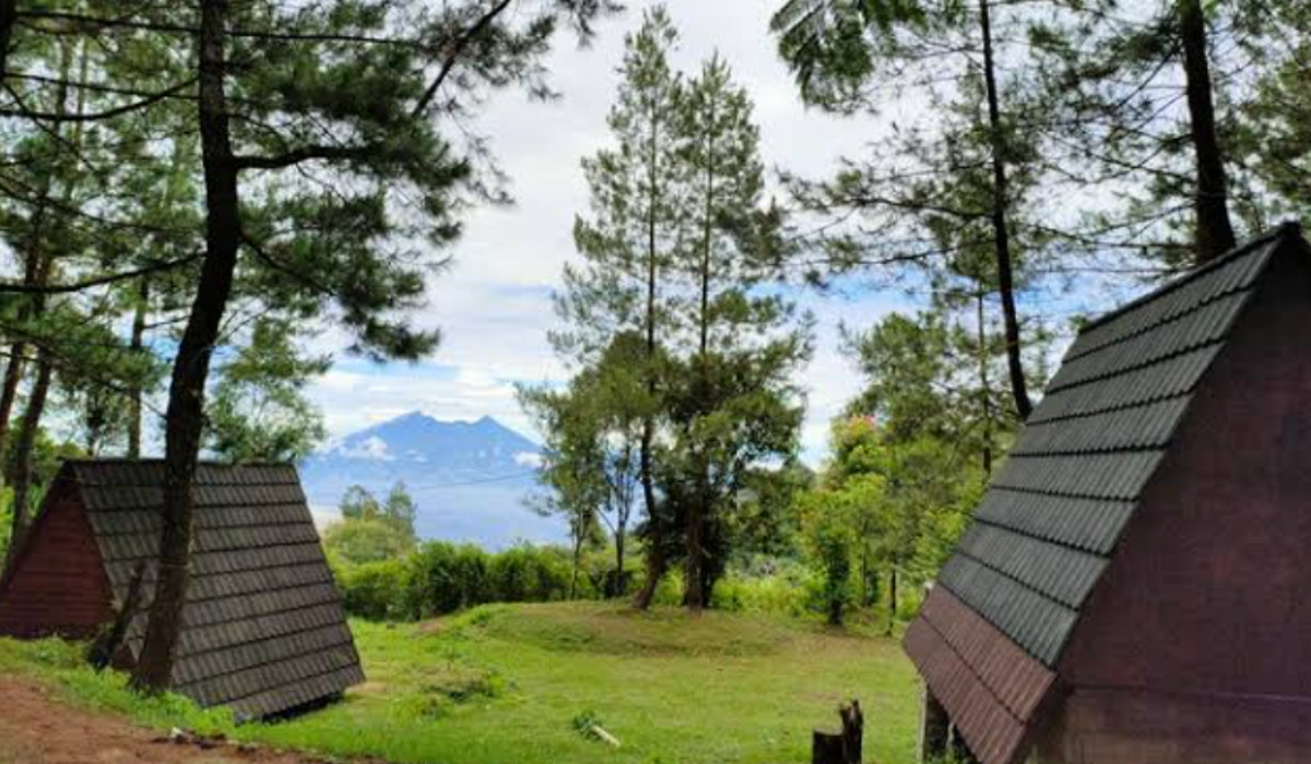 Wisata Terbaru 2024 Bukit Pinus Paseban : Kegiatan Camping Ground Tenangkan Hati