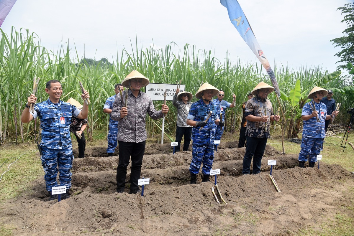 Lanud Adisutjipto Tanam Tebu, Sleman Siap Dukung Swasembada Pangan Nasional