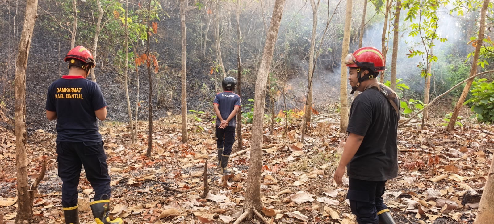 Kebakaran Gunung Gedhe Imogiri Belum Padam Total, Warga dan Petugas Masih Pantau Titik Api