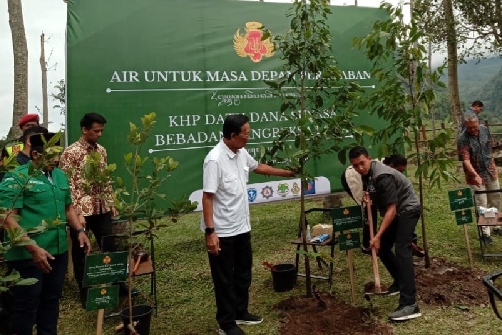 Sri Sultan HB X Bersama Pemuda Lintas Agama Tanam 100 Pohon Langka di Kaliurang, Upaya Pelestarian Lingkungan