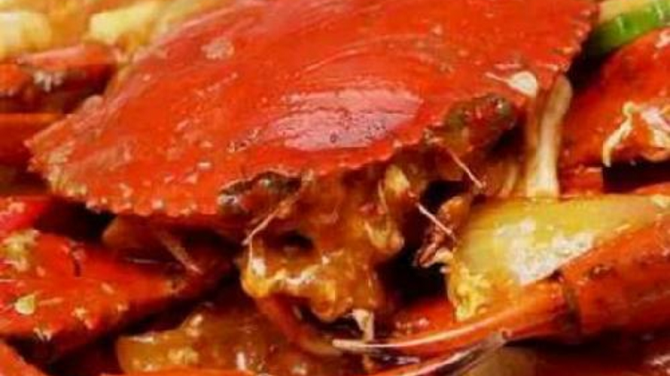 Pilihan Seafood Enak di Solo untuk Kuliner Malam Porsi Melimpah dan Harga Kaki Lima