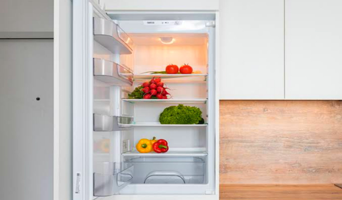 Rekomendasi Merk Kulkas Terbaik 1 Pintu Harga Sejutaan, Salah Satunya Punya Fitur Mega Freezer, Cek Disini