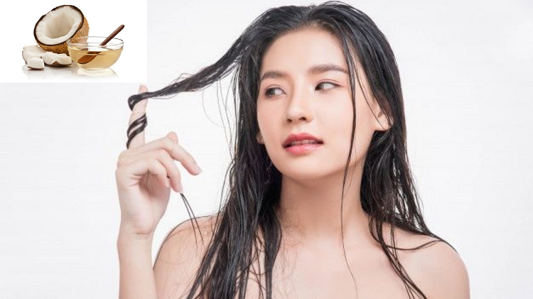 Sudah Terbukti Nyata Perawatan Rambut Dengan Minyak Kelapa