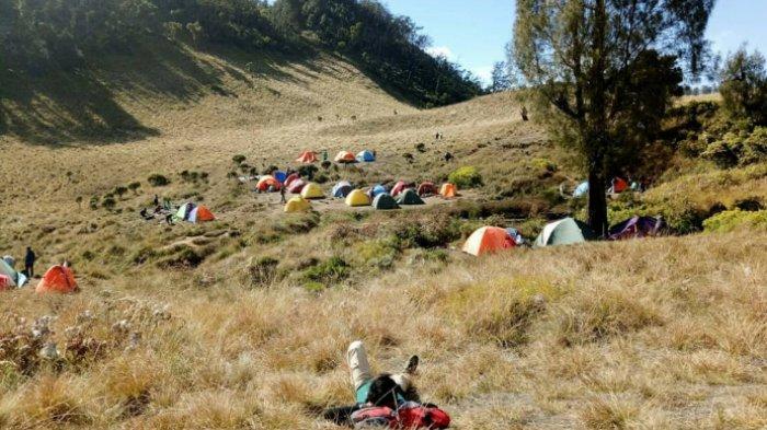 Treking ke Wisata Terbaru 2024 Gunung Butak: Tampilkan Sabana Indah Membuat Hati Bahagia, Cek Infonya Disini