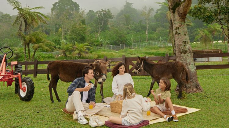 Wisata Hits Bali Farm House 2026, Ini Harga Tiket Terbaru, dan Tips Ketemu Alpaca