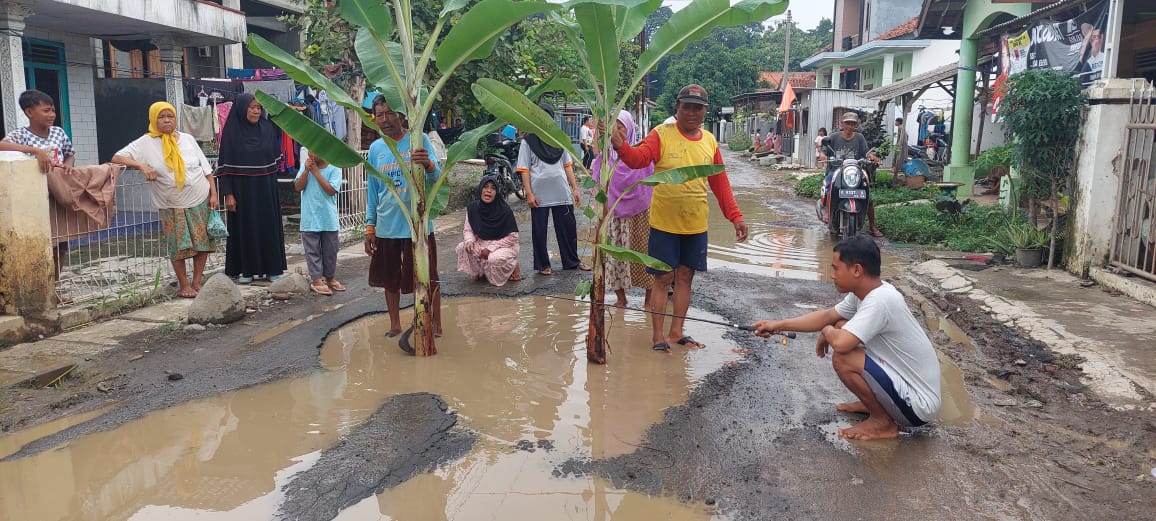 Warga Kertayasa Tegal Protes, Tanam Pohon Pisang dan Mancing di Jalan Rusak