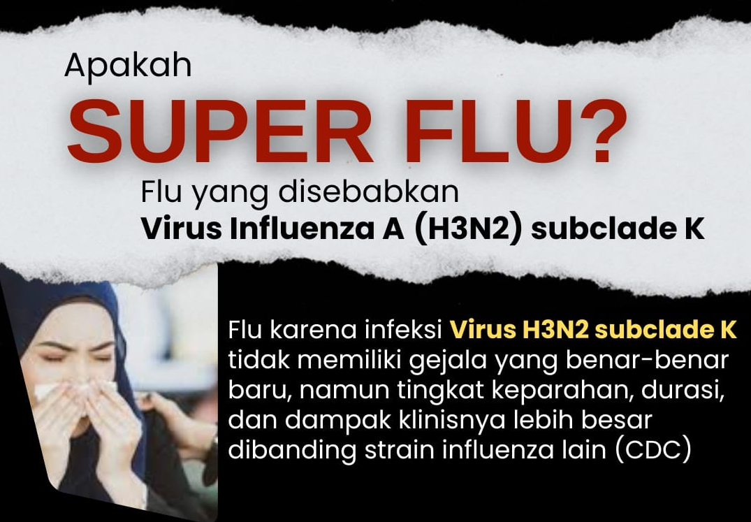 Dinkes DIY Konfirmasi Satu Kasus Super Flu H3N2 Subclade K, Pasien Bayi Sudah Sembuh