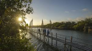 Jelajahi Keindahan Pantai Congot Rekomendasi Wisata Kulon Progo, Destinasi Pantai Indah Dibalut Hutan Mangrove