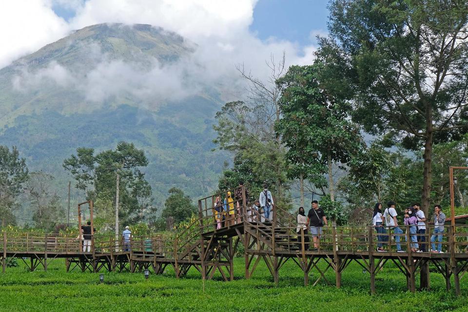 Jangan Takut Kecewa, Ini Dia Inspirasi 4 Wisata Terbaru 2024 di Wonosobo yang Cocok Untukmu