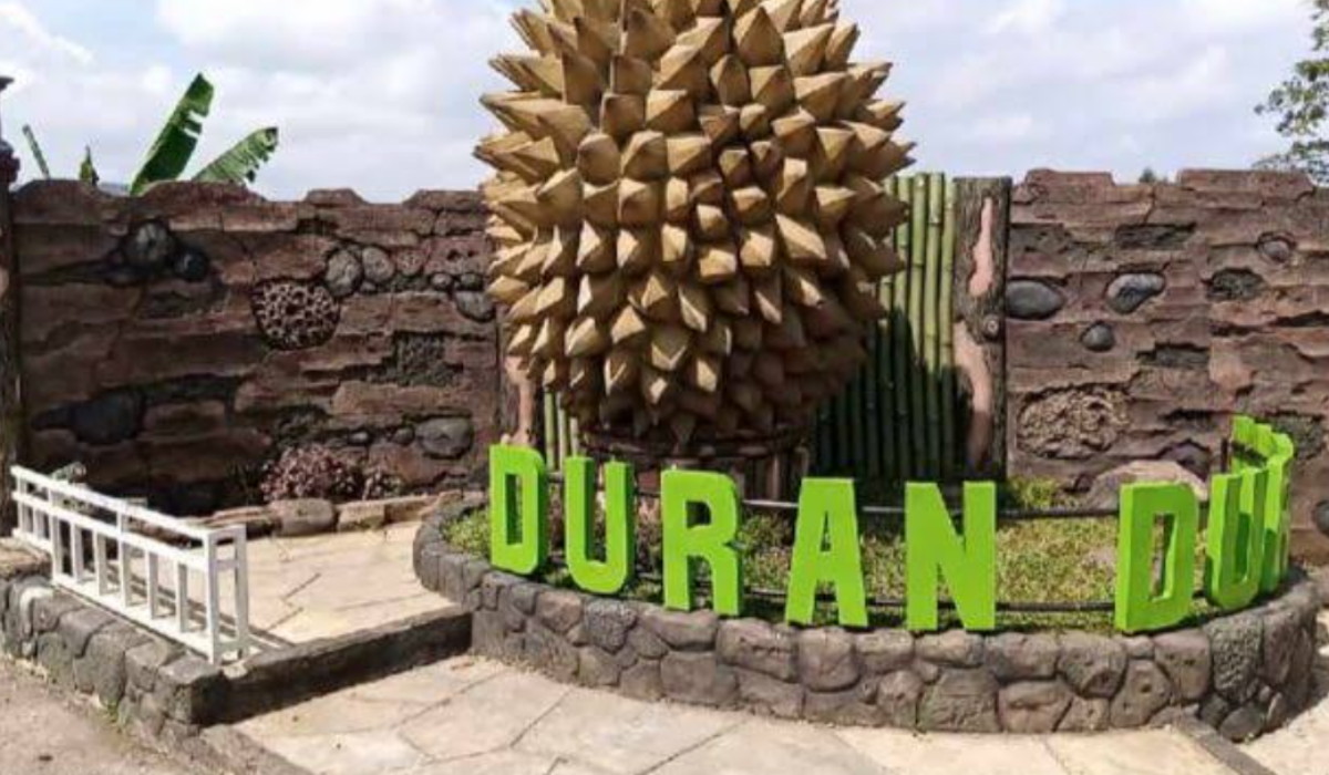 Wisata Terbaru 2024 Duran Duren Wonosalam: Surga Pecinta Durian Punya Banyak Spot Menarik