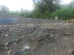 WALHI Yogyakarta dan Forum Peduli Gadingsari Tolak Pembuangan Sampah di Pantai Pandansari Bantul