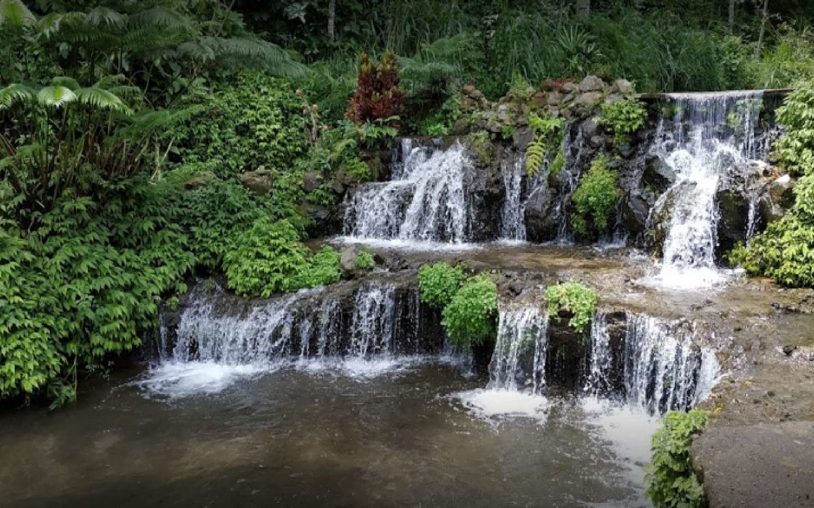 Wisata Terbaru 2024 Green Paradise Pagar Alam : Lokasi, Rute, Harga Tiket, Daya Tarik