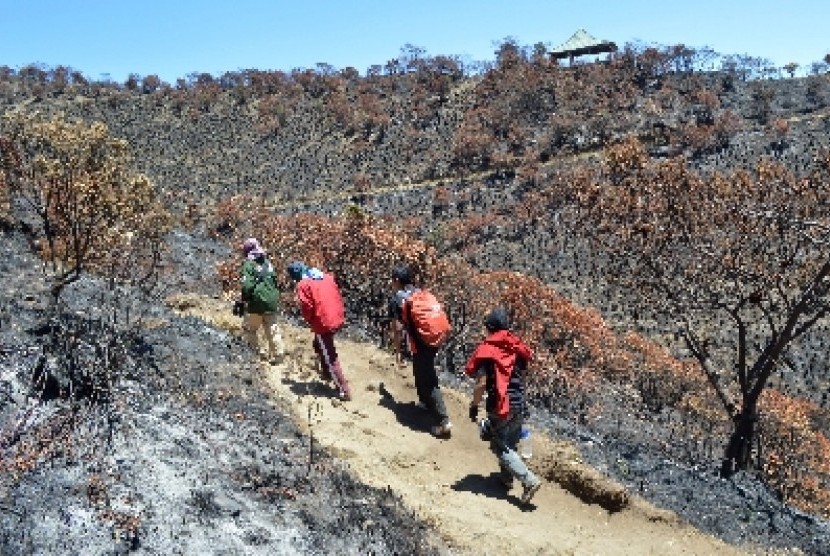 Pesona Wisata Terbaru 2024 Gunung Lawu? Simpan Sejuta Keindahan, Cocok Buat Liburan Cek Jalur Pendakiannya