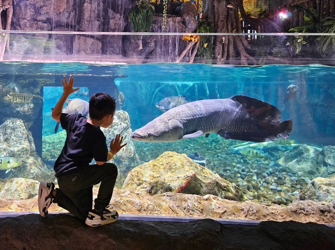 Butuh Rekomendasi Liburan Estetik? 8 Wisata Terbaru 2024 Aquarium Terbaik di Indonesia, Simak Ulasannya DIsini