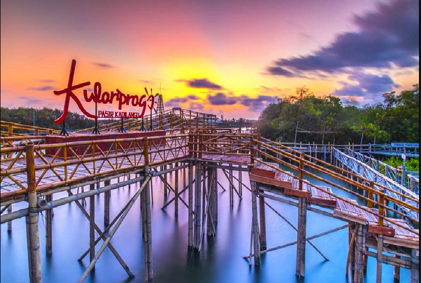 Objek Wisata Mangrove Kadilangu Kesulitan Bayar Karyawan, Anggota Dewan Sentil Pemkab Kulon Progo