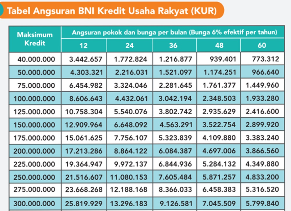 Telah Dibuka Kredit Tanpa Agunan Terbaru 2024 BNI, Pinjam 40 Juta ...