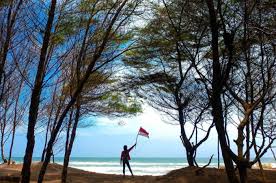 Pantai Cemara Sewu Dengan Suasana Tenang Di Bantul, Keindahan Alam dan Pesona Seribu Pohon Cemara