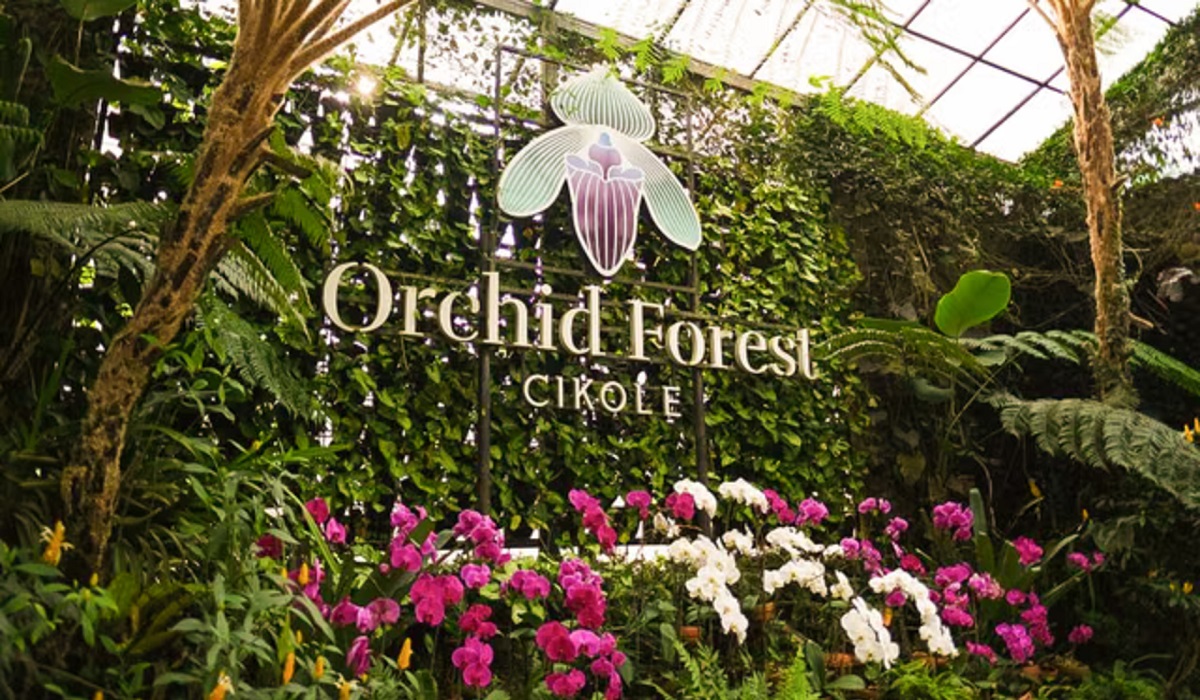Wisata Orchid Forest Cikole Bandung: Sensasi Liburan Bak Pegunungan Oregon di Amerika, Cek Disini