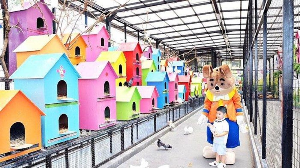 Liburan Keluarga di Bandung? Wisata Terbaru 2024 Rabbit Town, Rasakan Sensasi Seru dan Edukatif Ternak Kelinci