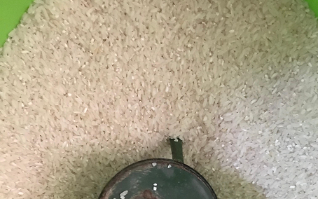 Dosen Gizi Unisa Yogyakarta Ungkap Bahaya dan Cara Kenali Beras Oplosan