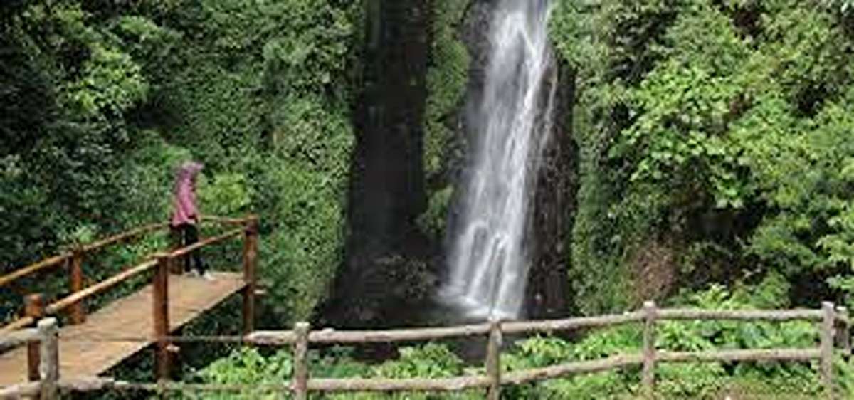 Healing Seru 2025! 8 Wisata Terindah Pasuruan 2025, Ada Banyak Spot Foto Unik Cocok Untuk Liburanmu