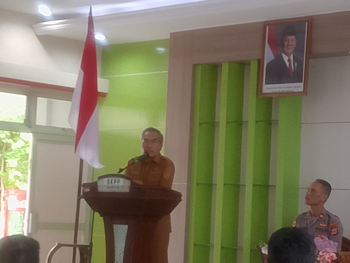 Bantul Pacu Pendapatan Petani Lewat Gabah dan Jagung