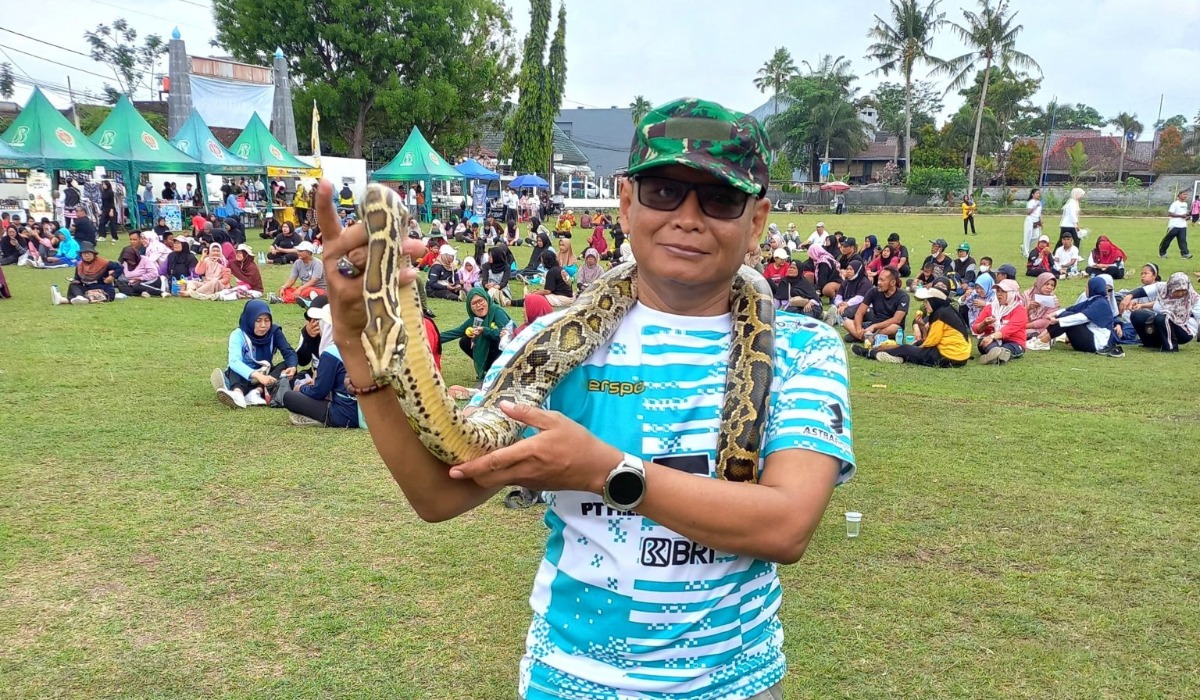 Saat Hadapi Ancaman Ular, Warga Diminta Tetap Tenang dan Tak Bertindak Gegabah