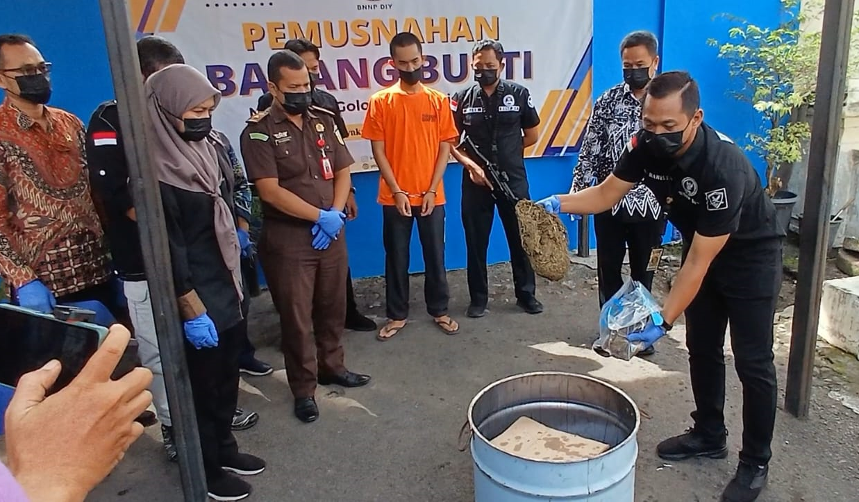 BNNP DIY Bekuk Karyawan Outsourcing Stasiun Yogyakarta, Sindikat Jaringan Narkotika Nasional