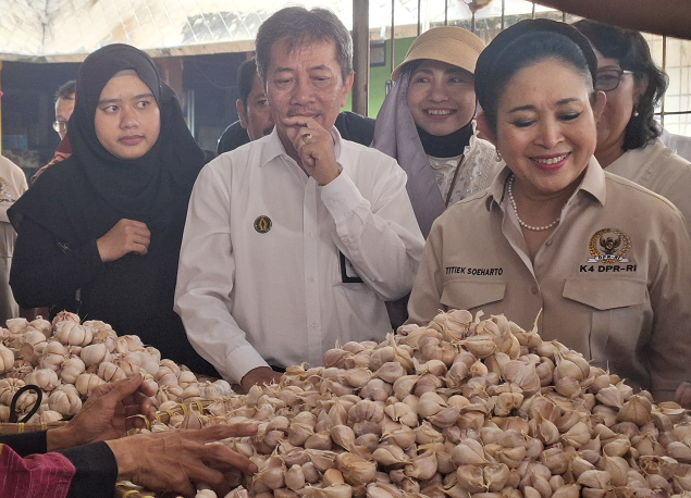 Titiek Soeharto Kunjungi Pasar Beringharjo Yogyakarta, Pantau Harga Kebutuhan Pokok