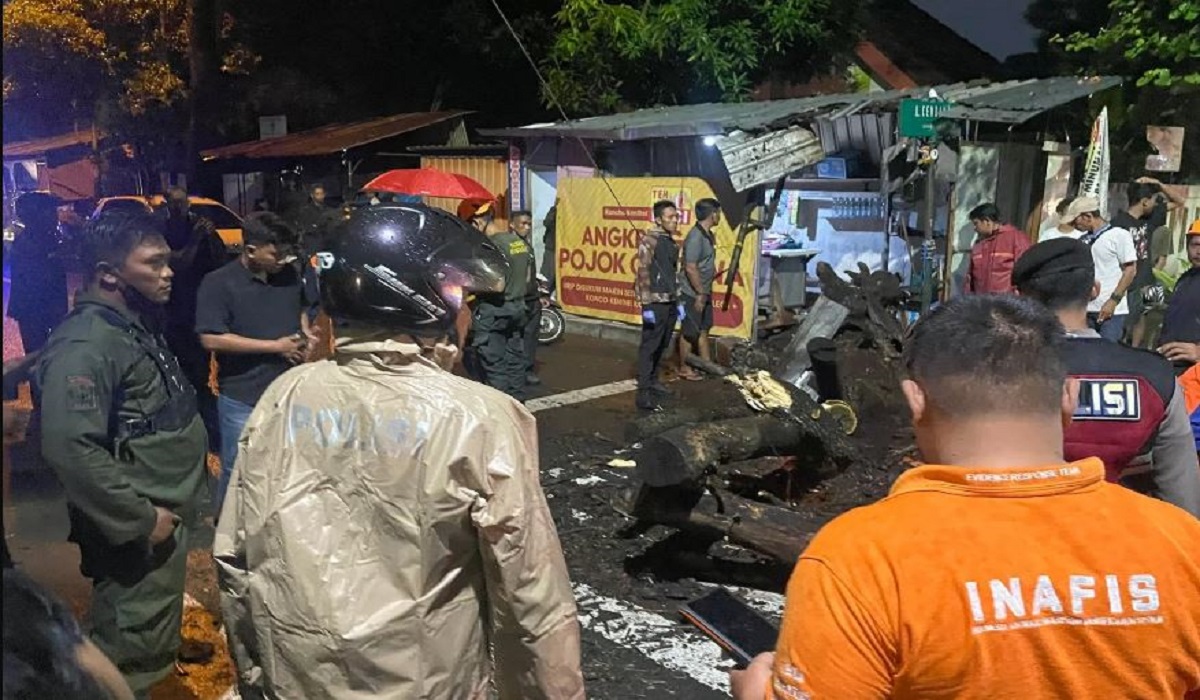 Dampak Cuaca Ekstrem di Yogyakarta, Pohon Besar Tumbang Timbulkan Korban Jiwa