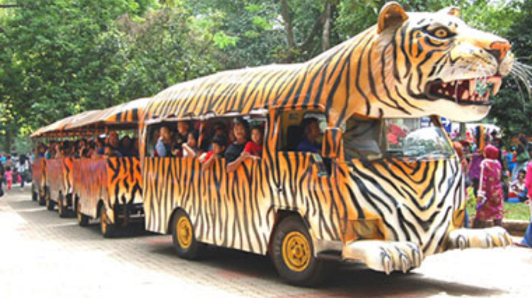 Cara Seru Keliling Ragunan Tanpa Harus Lelah Berjalan Kaki Saat Momen Liburan Bersama Keluarga 