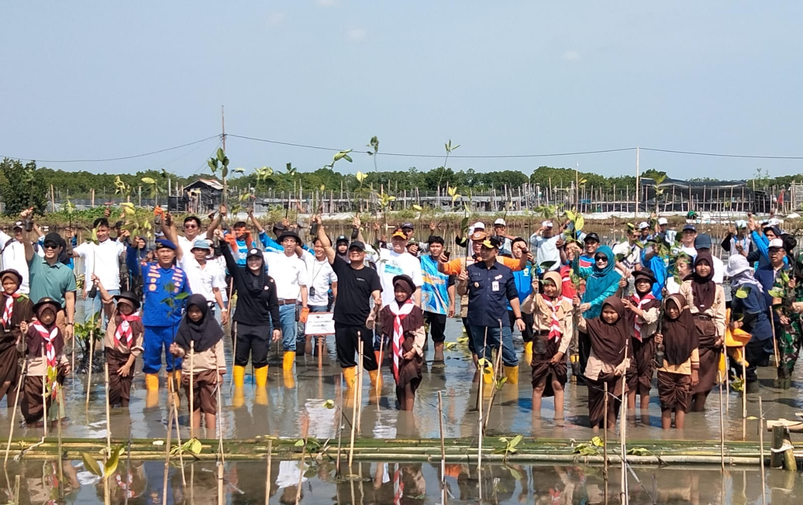 Mageri Segoro, Gubernur Ahmad Luthfi Pimpin Penanaman 1,5 Juta Mangrove Serentak 17 Kabupaten dari Brebes