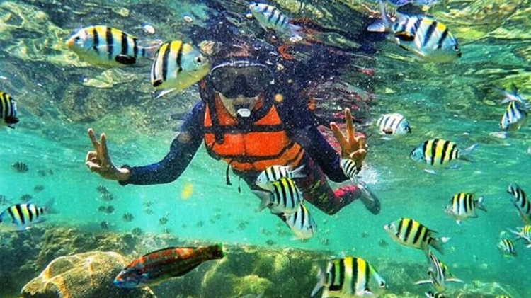 Pesona Snorkeling dan Ketenangan di Pantai Nglambor Yogyakarta