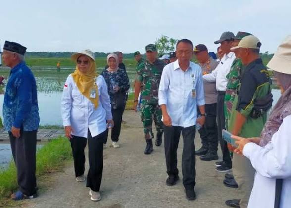 Sekolah Didorong Jadi Kebun Hidup, Bantul Tanamkan Minat Tani Sejak Dini