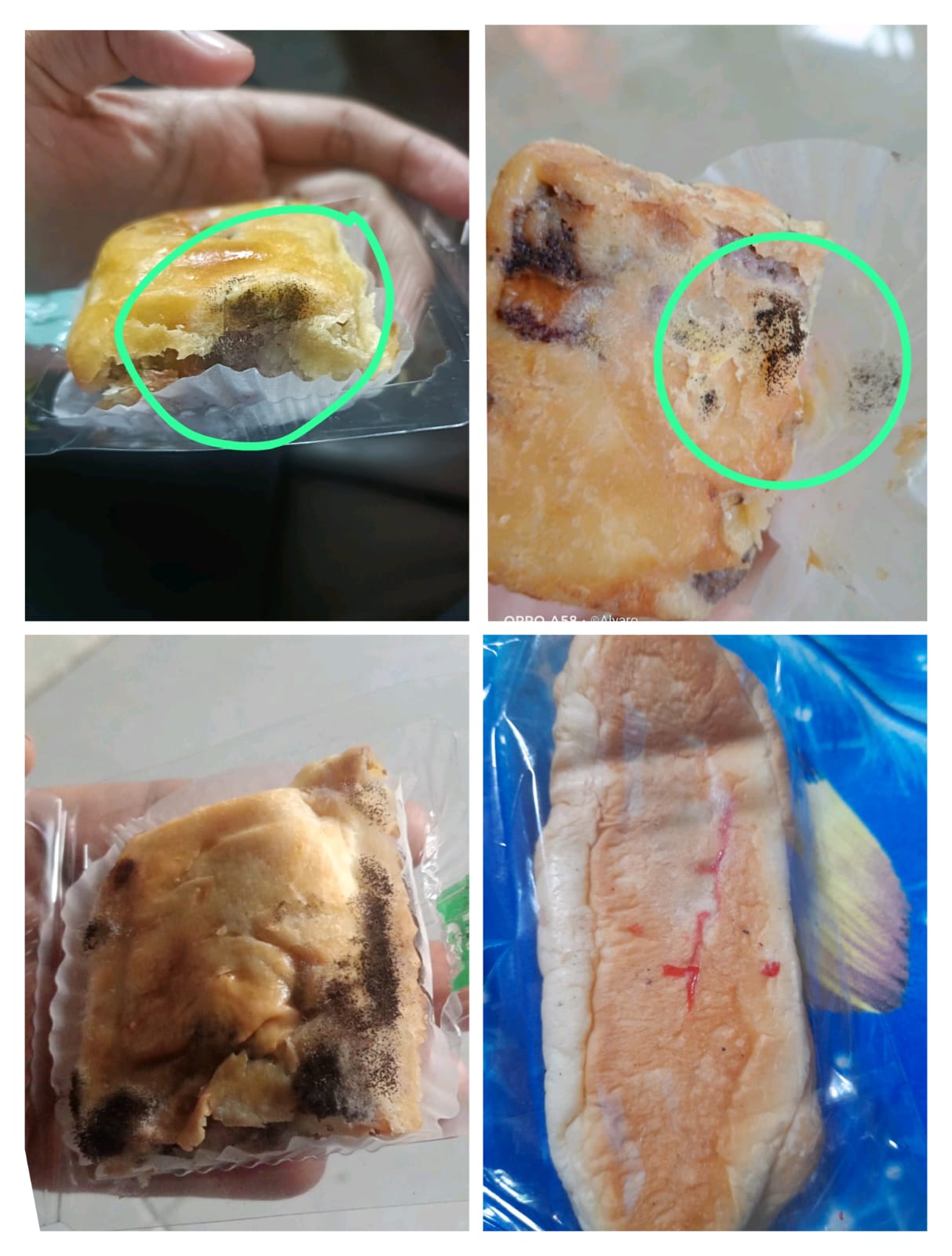 Bolen dan Roti Jamuran, Puluhan Wali Murid Keluhkan Menu MBG Ramadan SPPG Gandasuli Brebes