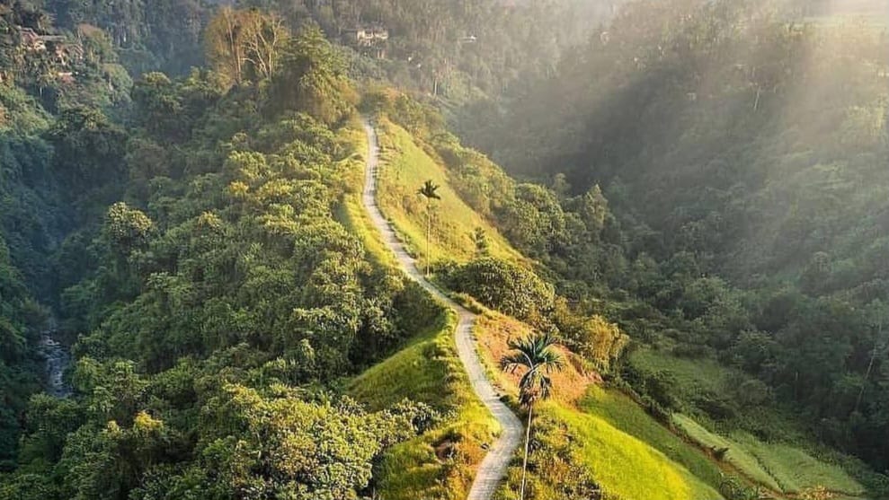 Wisata Terbaru 2024, Campuhan Ridge Walk? Rasakan Jogging di Temani Asrinya Alam di Pulau Bali