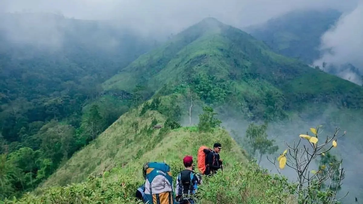 Hiking Seru di Wisata Terbaru 2024 Gunung Wilis, Simpan 5 Fakta Menarik, Buruan Cek Disini