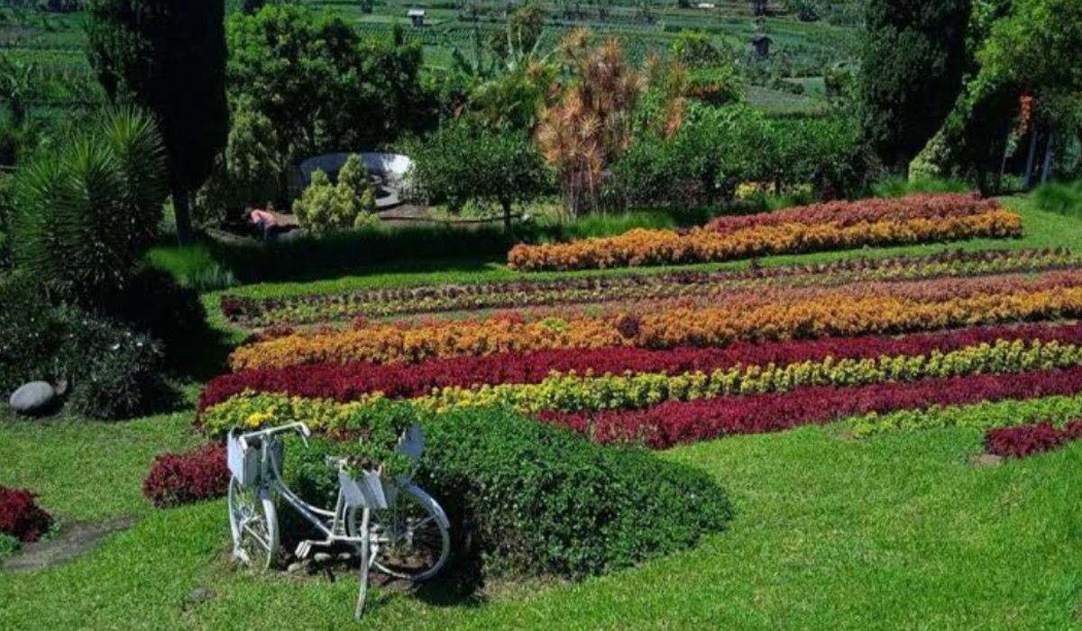 Wisata Terbaru 2024 Happy Farm Ciwidey: Nuansa Edukasi Menarik di Akhir Pekan