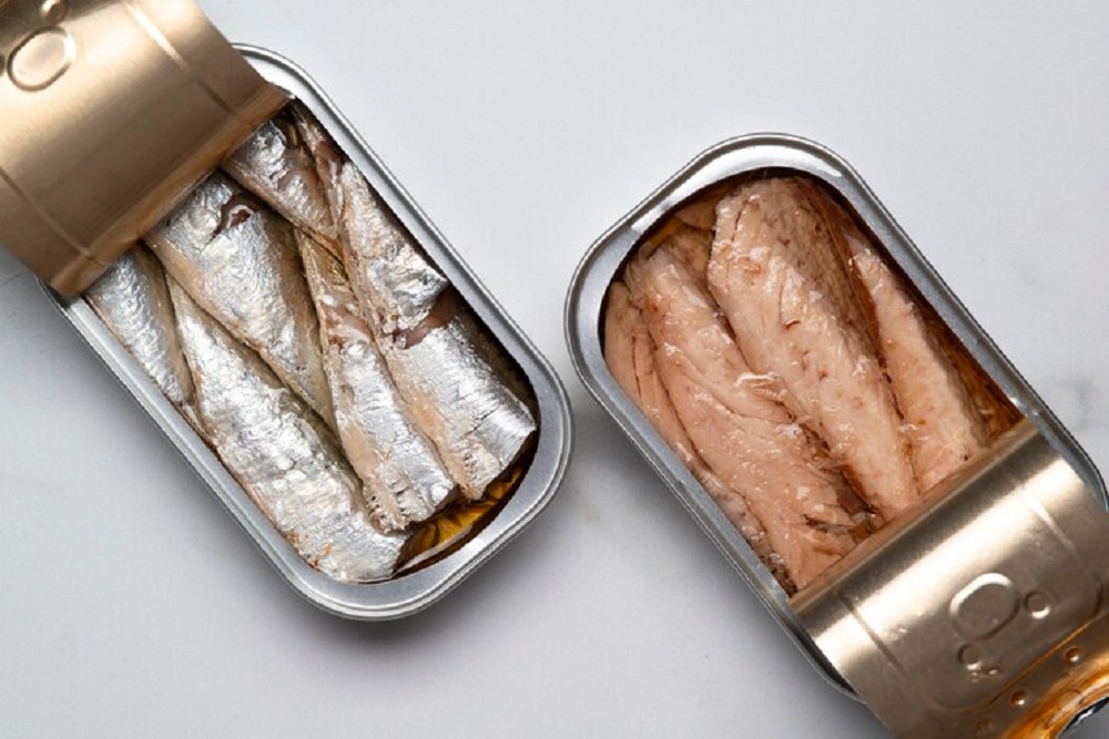 Cara Menyimpan Ikan Dalam Merek Kulkas Terbaik Jenis Freezer Agar Awet